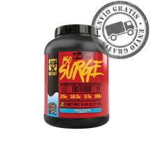 Cargar imagen en el visor de la galería, Iso Surge 73 servicios galleta