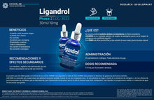 Cargar imagen en el visor de la galería, Ficha Tecnica Ligandrol Fase 2 Lgd-3033