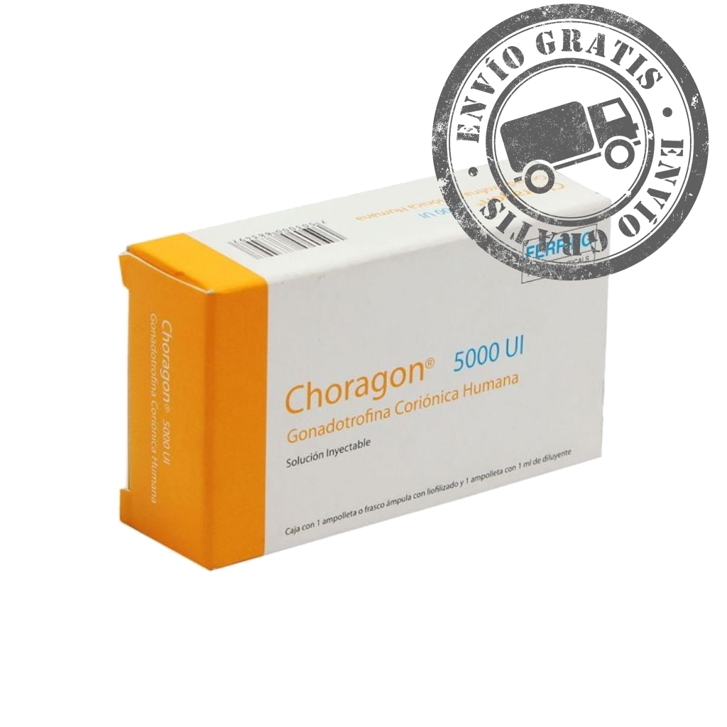 Choragon 5000 – Division Fitness